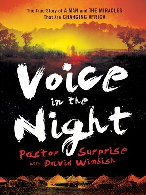 cover image of Voice in the Night